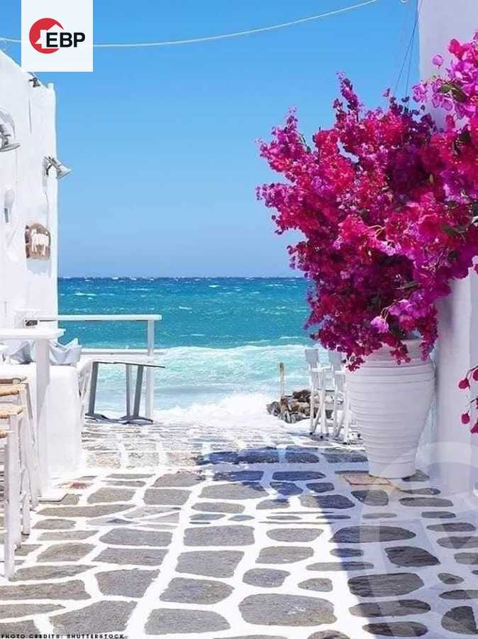 https://aqarmap.com.eg/en/listing/4014554-for-sale-north-coast-resorts-mwntn-fyw-rs-lhkm