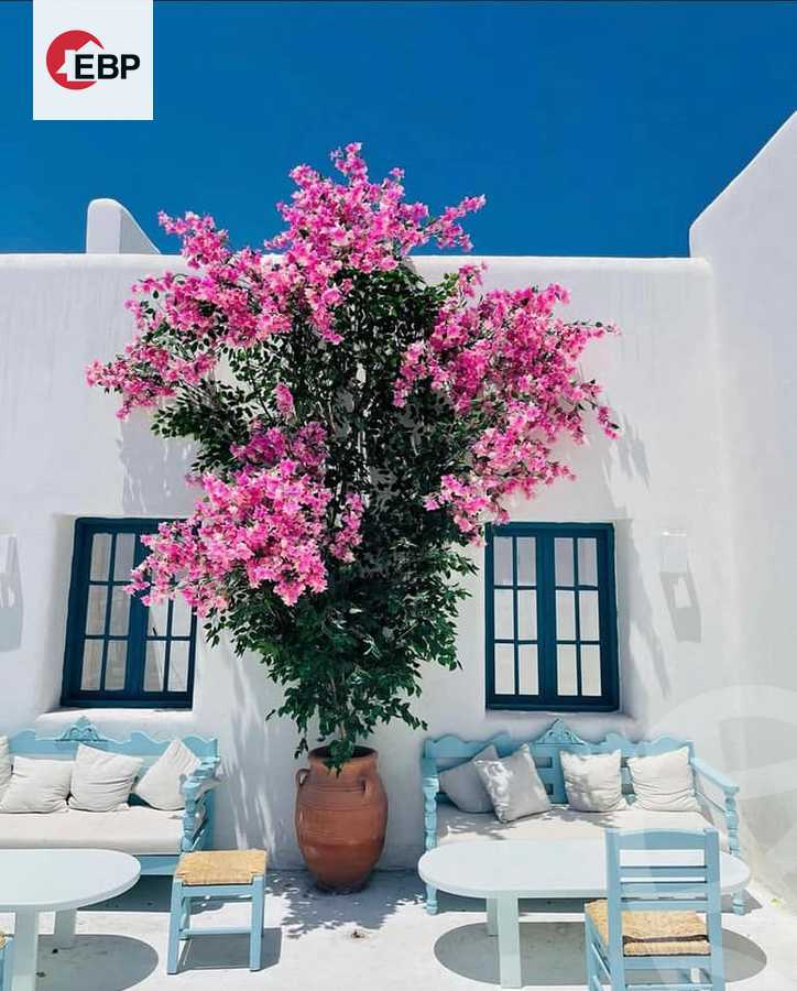 https://aqarmap.com.eg/en/listing/4085898-for-sale-north-coast-resorts-mwntn-fyw-rs-lhkm