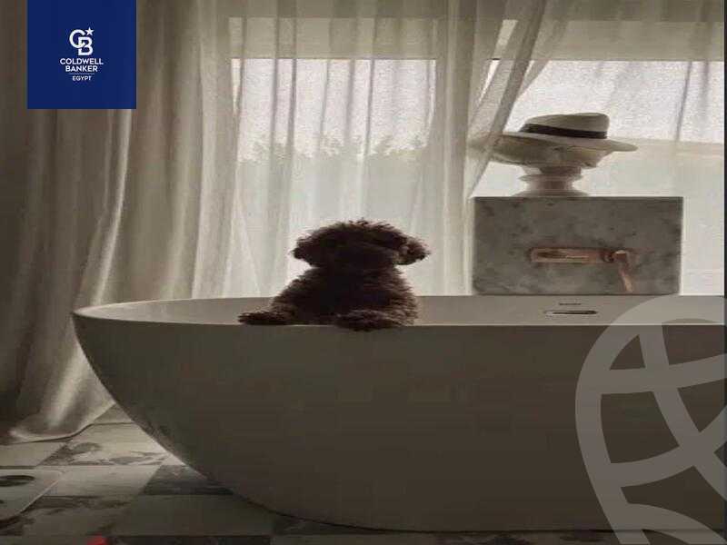 https://aqarmap.com.eg/en/listing/4154777-for-sale-cairo-el-sheikh-zayed-city-compounds-kmbwnd-wyst-twn-swdyk