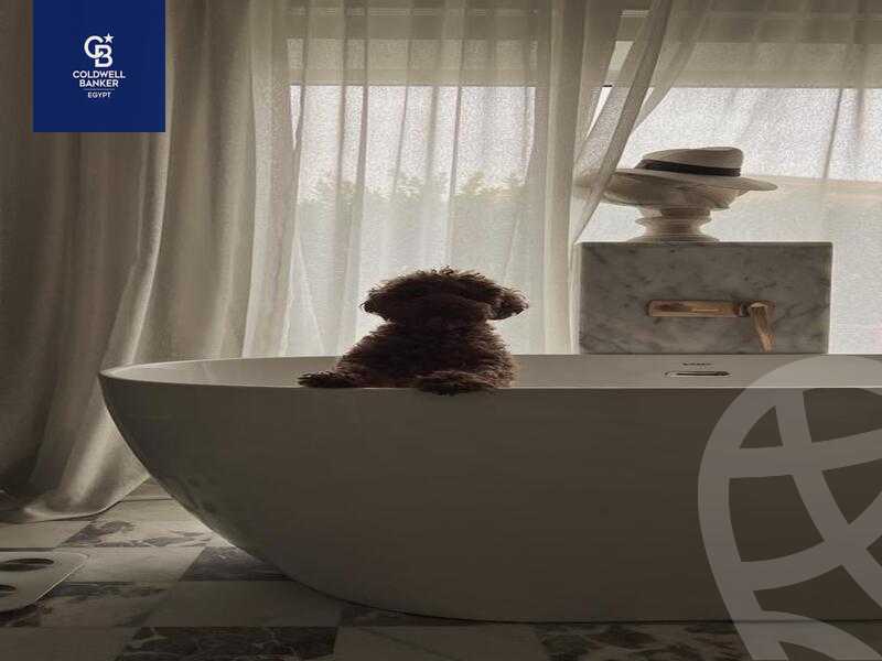 https://aqarmap.com.eg/ar/listing/4207513-for-sale-cairo-el-sheikh-zayed-city-compounds-in-sheikh-zayed-beverly-hills