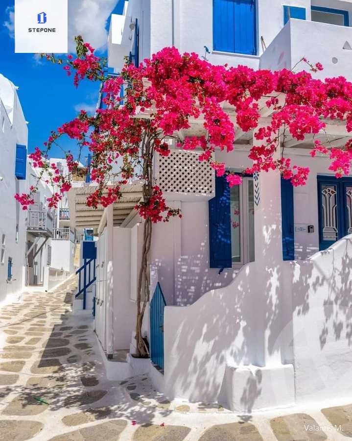 https://aqarmap.com.eg/ar/listing/4118553-for-sale-north-coast-resorts-mwntn-fyw-rs-lhkm