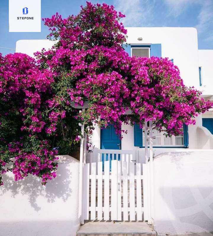 https://aqarmap.com.eg/ar/listing/4138896-for-sale-north-coast-resorts-mwntn-fyw-rs-lhkm