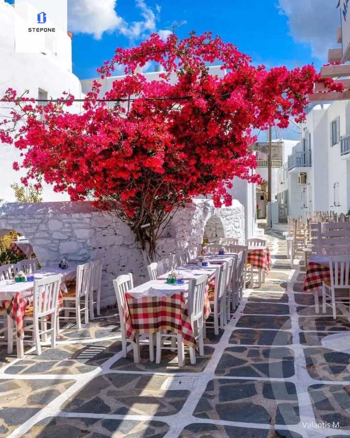 https://aqarmap.com.eg/ar/listing/4384391-for-sale-north-coast-resorts-mwntn-fyw-rs-lhkm