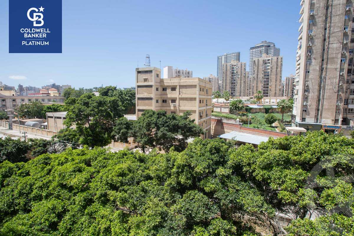 https://aqarmap.com.eg/en/listing/4737291-for-sale-alexandria-mostafa-kamel-area