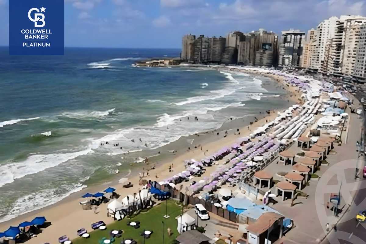 https://aqarmap.com.eg/en/listing/5240220-for-rent-alexandria-ibrahimia-abou-quer-st