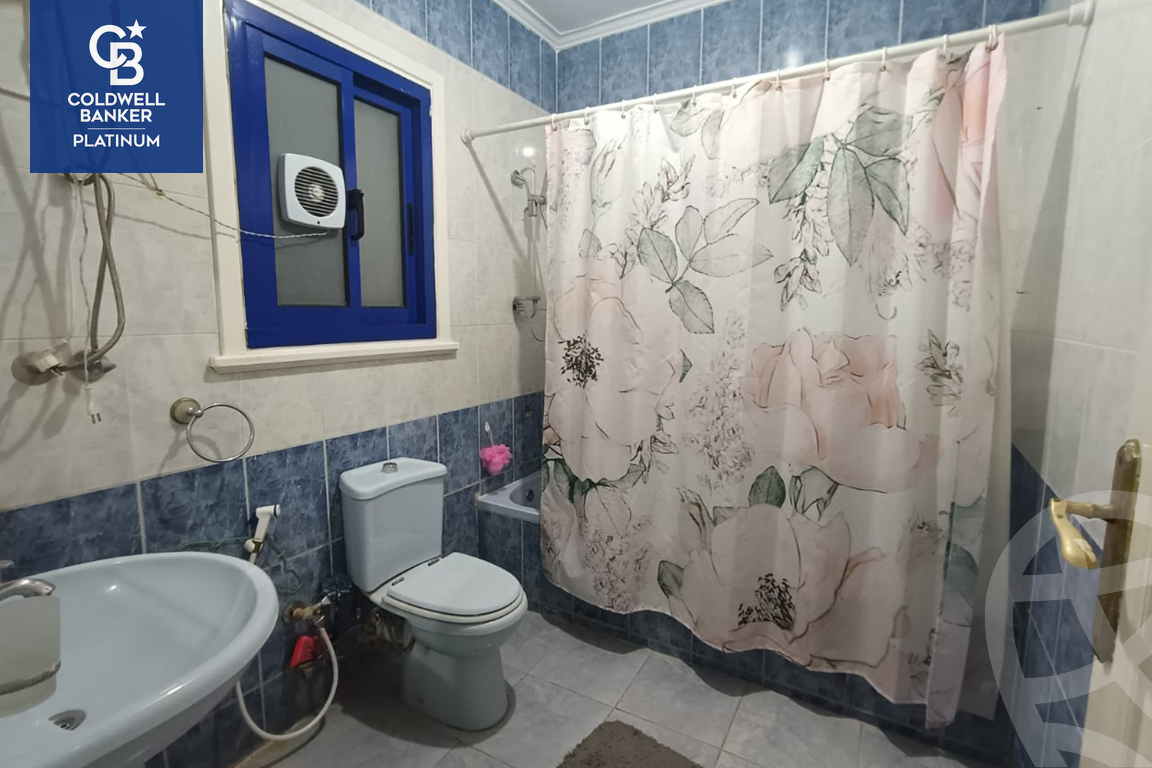 https://aqarmap.com.eg/en/listing/5596583-for-rent-alexandria-bolekly-mohammed-farid-st