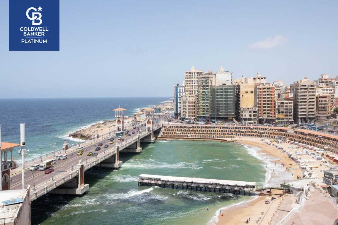 https://aqarmap.com.eg/en/listing/5620306-for-sale-alexandria-roshdy