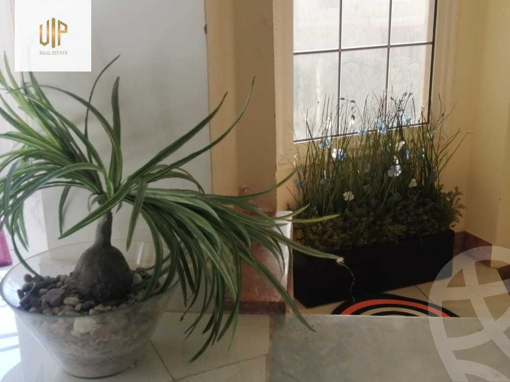 https://aqarmap.com.eg/en/listing/4143475-for-rent-cairo-new-cairo-compounds-one-piece