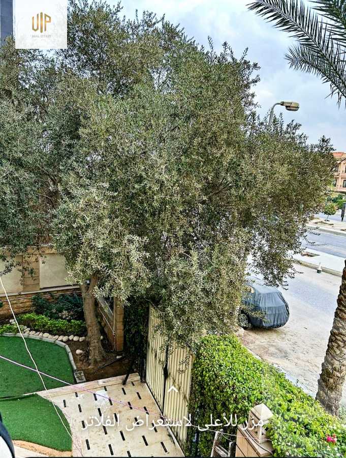 https://aqarmap.com.eg/en/listing/5687163-for-sale-cairo-new-cairo-el-choueifat-al-shouyfat-st