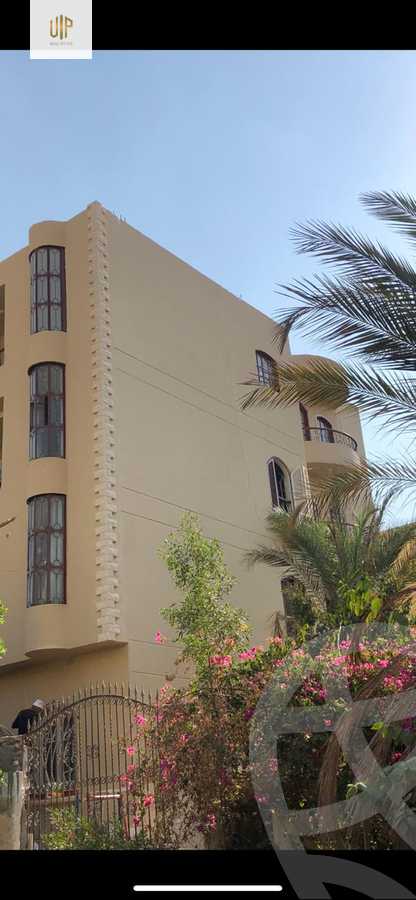 https://aqarmap.com.eg/en/listing/6024659-for-rent-cairo-new-cairo-el-ahyaa-fourth-neighborhood-street-5