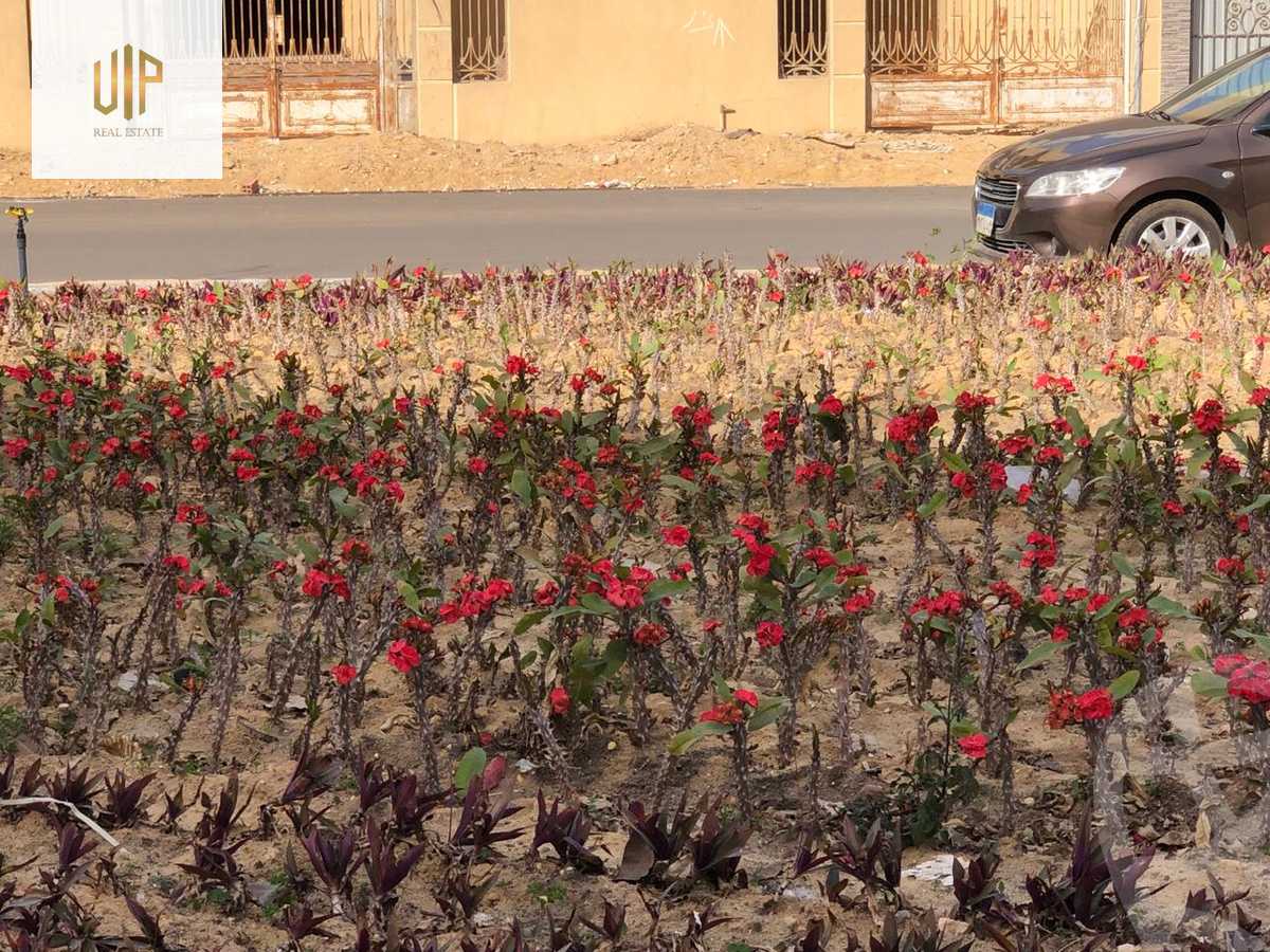 https://aqarmap.com.eg/ar/listing/6313216-for-sale-cairo-new-cairo-el-lotus-lotus-south
