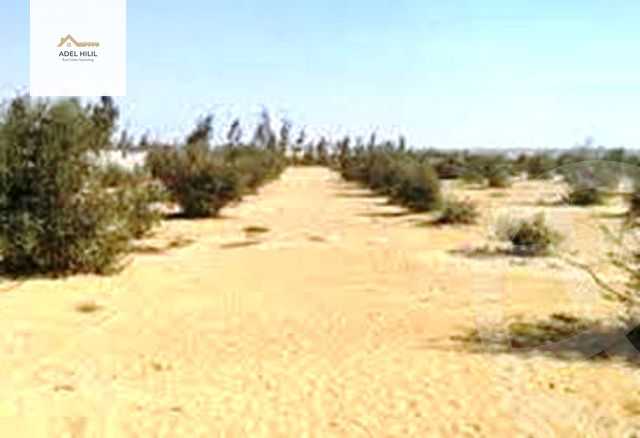 https://aqarmap.com.eg/en/listing/4310129-for-sale-cairo-6th-of-october-green-belt-wadi-el-nile