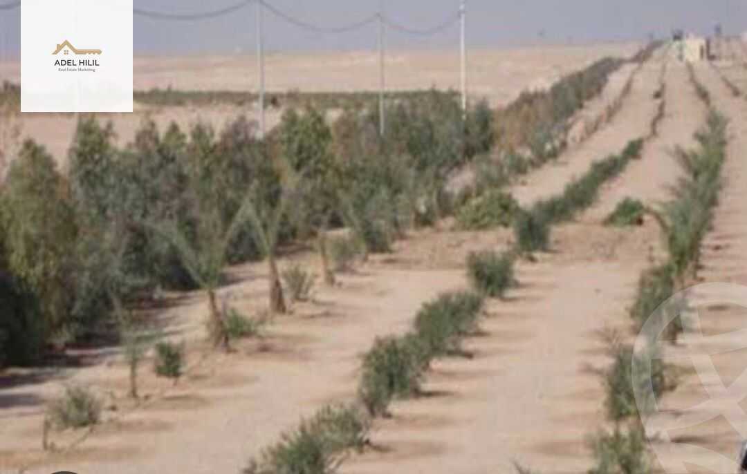 https://aqarmap.com.eg/en/listing/4310161-for-sale-cairo-6th-of-october-bait-el-watan-bait-el-watan-el-asasy