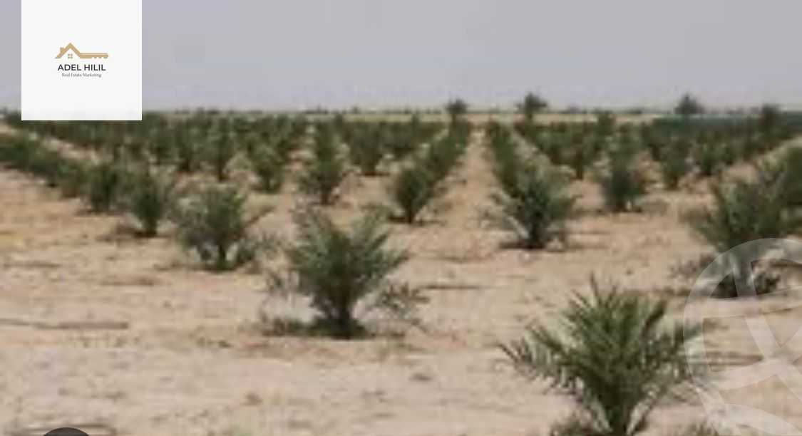 https://aqarmap.com.eg/en/listing/4310161-for-sale-cairo-6th-of-october-bait-el-watan-bait-el-watan-el-asasy