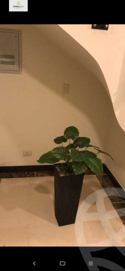 https://aqarmap.com.eg/en/listing/4367810-for-rent-cairo-new-cairo-compounds-nyoum-nyw-kyrw