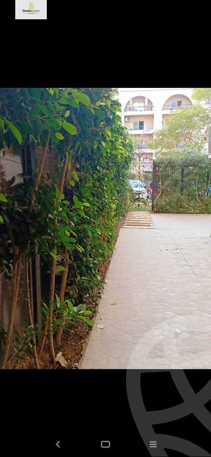 https://aqarmap.com.eg/en/listing/4381691-for-rent-cairo-new-cairo-compounds-el-masrawiyeh