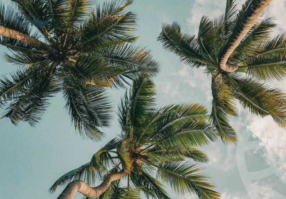 https://aqarmap.com.eg/en/listing/3990582-for-sale-north-coast-resorts-gaia