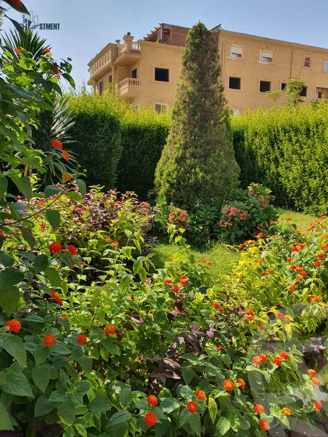 https://aqarmap.com.eg/en/listing/4256249-for-sale-cairo-el-shorouk-lhy-lthlth-shrq-neighbourhood-1