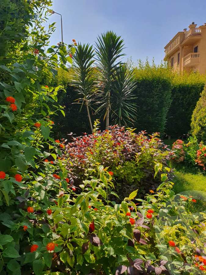 https://aqarmap.com.eg/en/listing/4308636-for-sale-cairo-el-shorouk-lhy-lthlth-shrq-neighbourhood-1