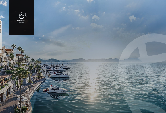 https://aqarmap.com.eg/en/listing/6065264-for-sale-north-coast-resorts-south-med-resort-tmg