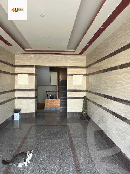 https://aqarmap.com.eg/ar/listing/4954656-for-rent-cairo-new-cairo-el-narges-el-narges-6-kaeb-ebn-malek-st