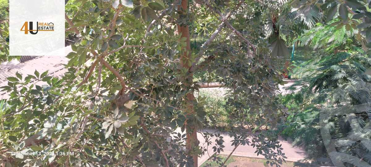 https://aqarmap.com.eg/en/listing/5396707-for-sale-cairo-new-cairo-first-settlement-skn-lshbb-ljnwby