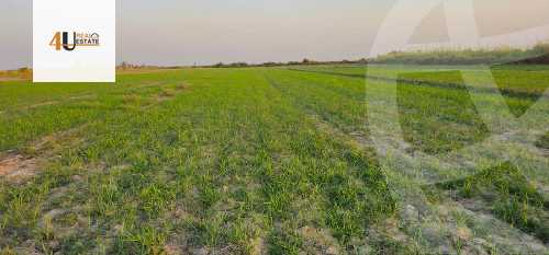 https://aqarmap.com.eg/en/listing/5422521-for-sale-beni-suef-mdyn-bny-swyf-ljdyd-tryq-lqhr-bny-swyf-lshrwy