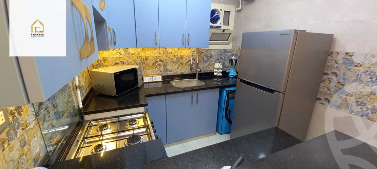 https://aqarmap.com.eg/en/listing/5251460-for-rent-cairo-new-cairo-lrhb-city-phase-1-alabnoudi-st