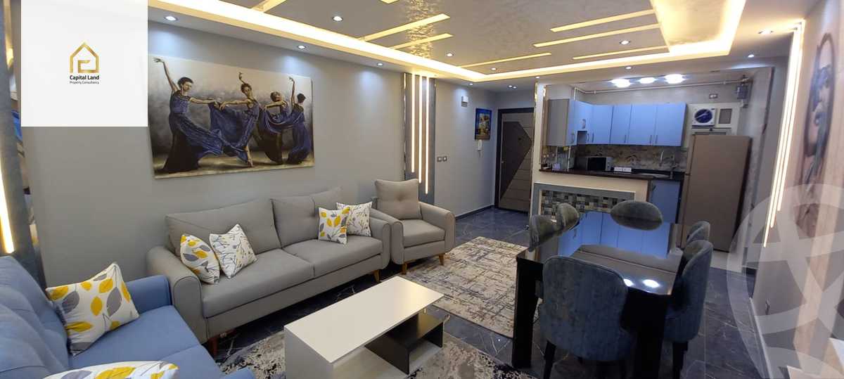 https://aqarmap.com.eg/en/listing/5251460-for-rent-cairo-new-cairo-lrhb-city-phase-1-alabnoudi-st