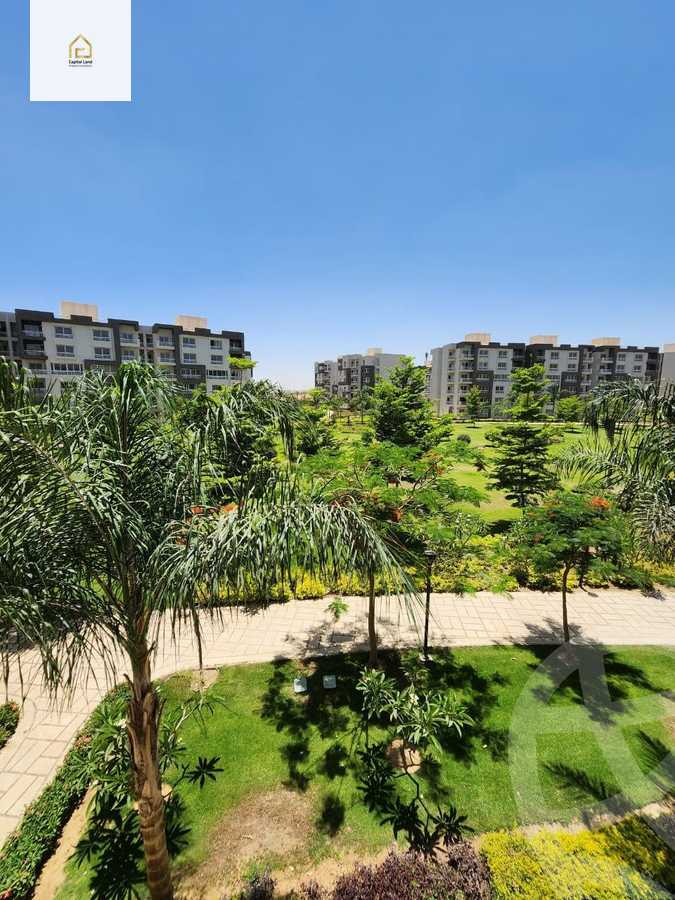 https://aqarmap.com.eg/en/listing/5256254-for-rent-cairo-new-cairo-madinaty-twelfth-zone-buildings
