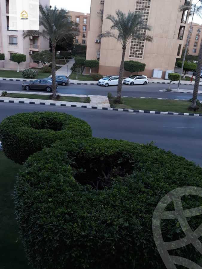 https://aqarmap.com.eg/ar/listing/5263373-for-rent-cairo-new-cairo-lrhb-city-phase-1-ali-amin-st