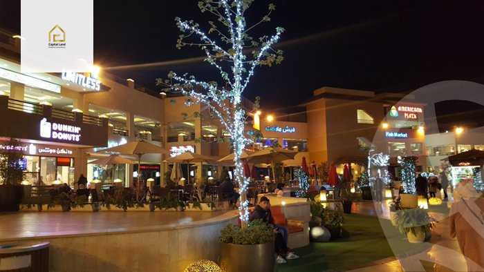 https://aqarmap.com.eg/en/listing/5606678-for-sale-cairo-el-sheikh-zayed-city