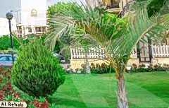 https://aqarmap.com.eg/en/listing/5778244-for-rent-cairo-new-cairo-lrhb-city-mtdd-lrhb-phase-7