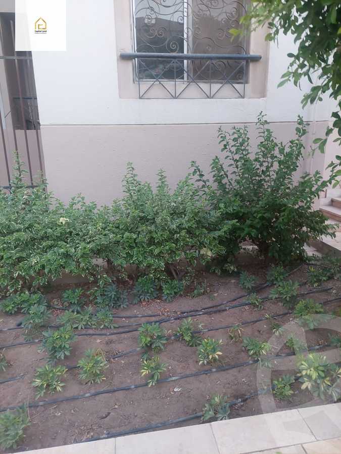 https://aqarmap.com.eg/en/listing/5778383-for-rent-cairo-new-cairo-lrhb-city-phase-1