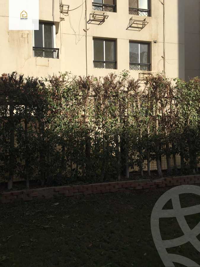 https://aqarmap.com.eg/en/listing/5872530-for-rent-cairo-new-cairo-lrhb-city-phase-3-umm-kolthom-st