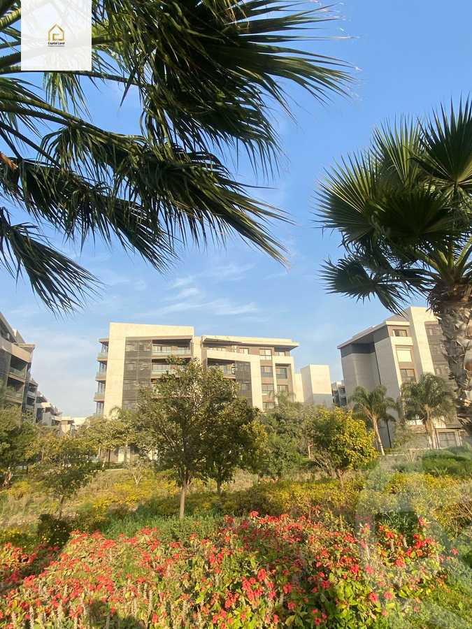 https://aqarmap.com.eg/en/listing/5877241-for-rent-cairo-new-cairo-madinaty-fifteenth-zone-buildings