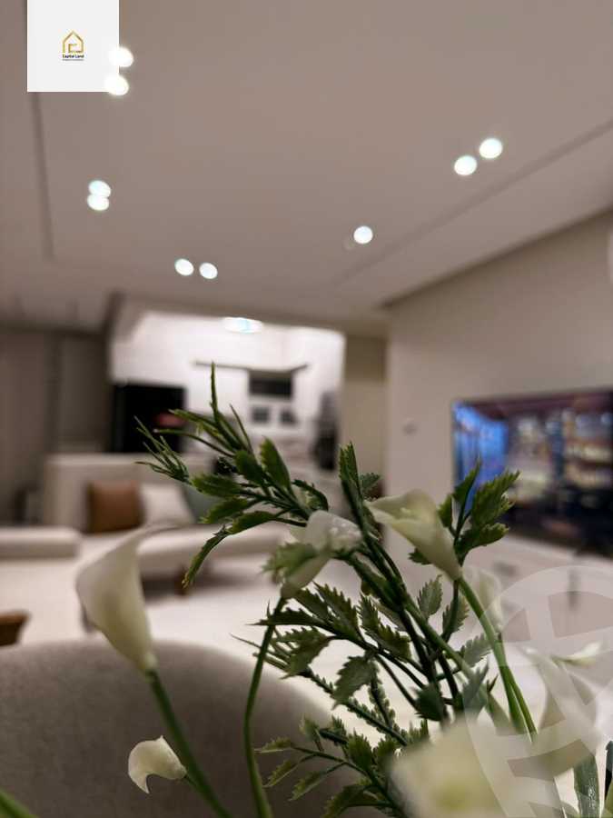 https://aqarmap.com.eg/en/listing/5954726-for-rent-cairo-new-cairo-madinaty-twelfth-zone-buildings