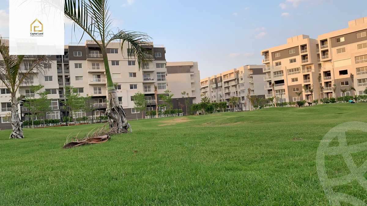 https://aqarmap.com.eg/en/listing/5960472-for-rent-cairo-new-cairo-madinaty-tenth-zone-buildings-group-103