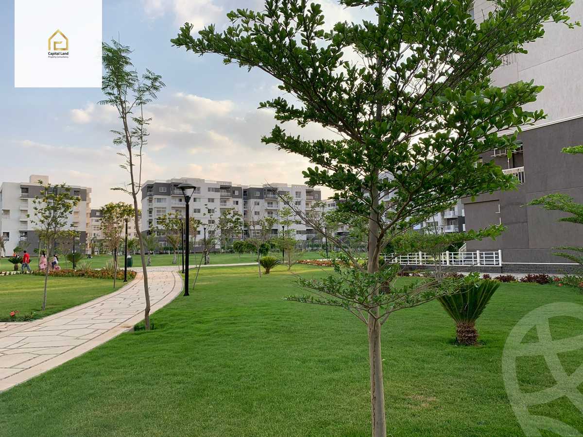 https://aqarmap.com.eg/en/listing/5960472-for-rent-cairo-new-cairo-madinaty-tenth-zone-buildings-group-103