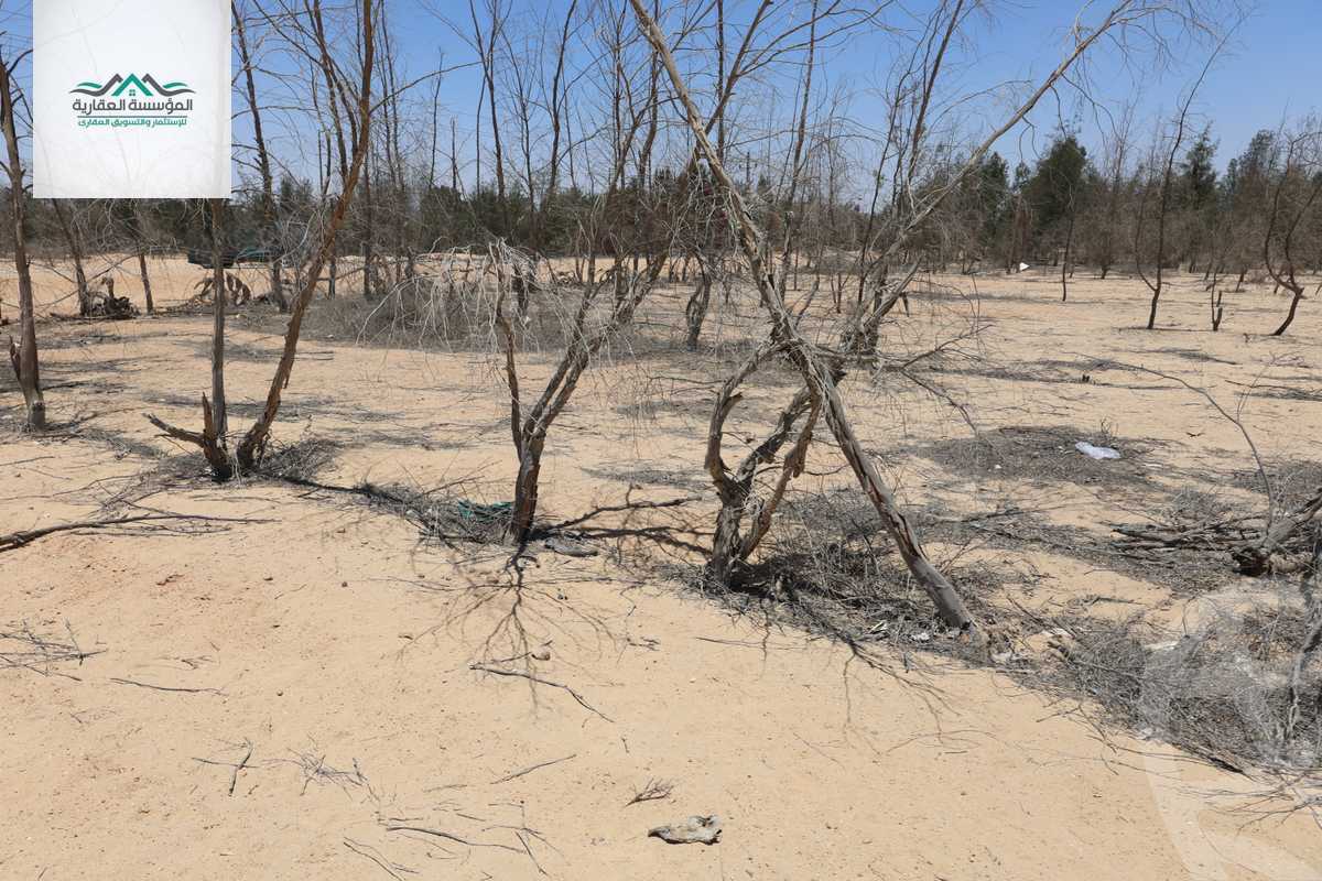 https://aqarmap.com.eg/en/listing/6092994-for-sale-cairo-6th-of-october-green-belt-wadi-el-nile