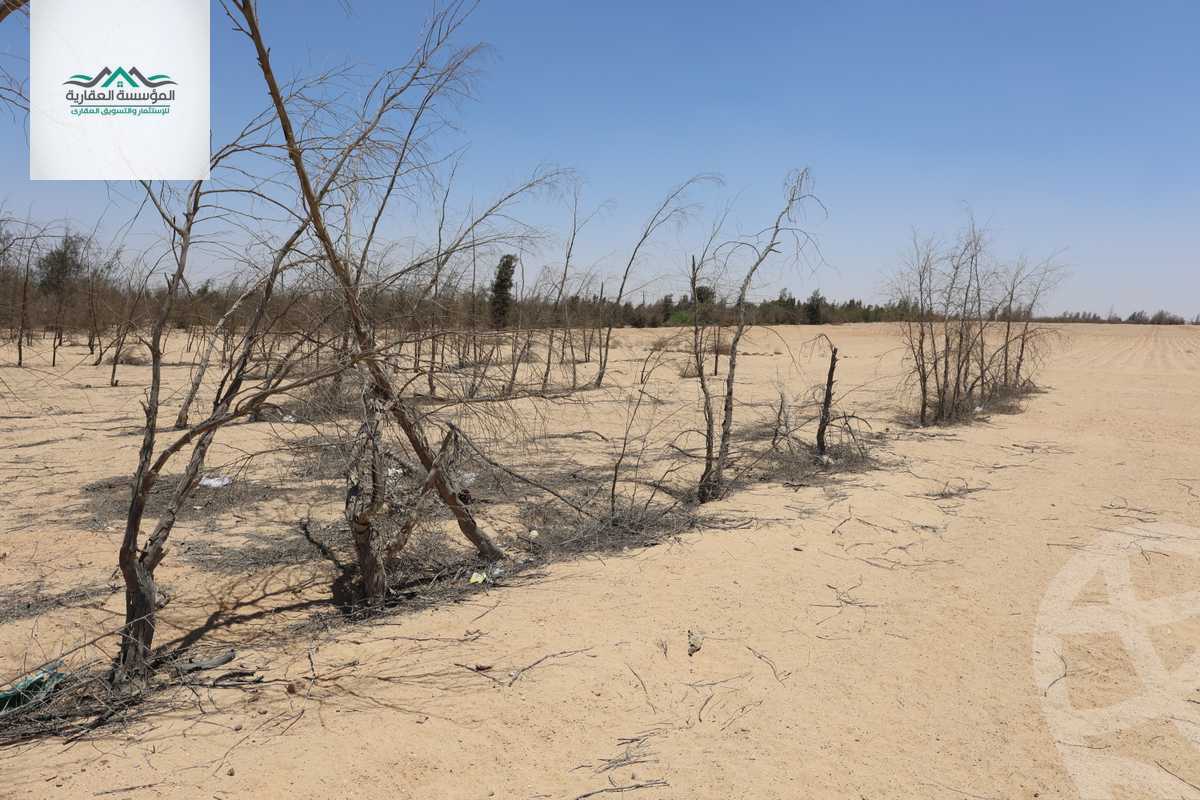 https://aqarmap.com.eg/en/listing/6092994-for-sale-cairo-6th-of-october-green-belt-wadi-el-nile