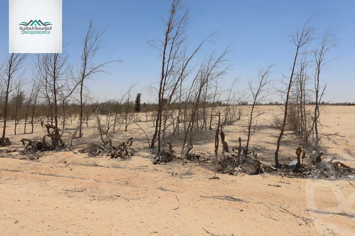 https://aqarmap.com.eg/en/listing/6092994-for-sale-cairo-6th-of-october-green-belt-wadi-el-nile