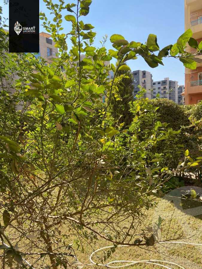 https://aqarmap.com.eg/en/listing/5885598-for-sale-cairo-6th-of-october-hadaeq-october-kmbwnd-fy-hdyq-ktwbr-rehab-october