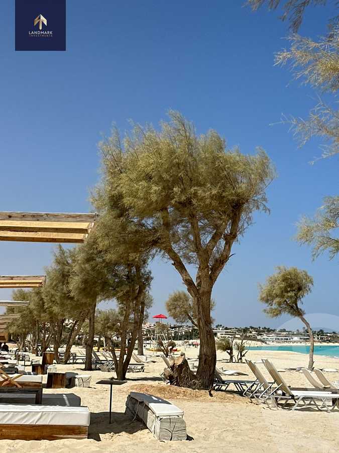 https://aqarmap.com.eg/en/listing/6049618-for-sale-marsa-matruh-marsa-matrouh-resorts-marsa-baghush-resort-shehab-mazhar