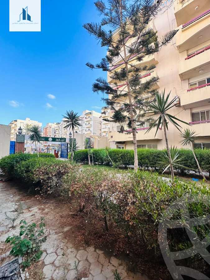 https://aqarmap.com.eg/ar/listing/6160804-for-sale-alexandria-l-jmy-shataa-el-nakheel-no-6-st