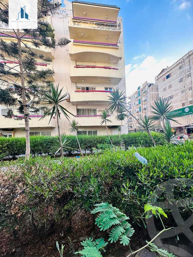 https://aqarmap.com.eg/ar/listing/6160804-for-sale-alexandria-l-jmy-shataa-el-nakheel-no-6-st