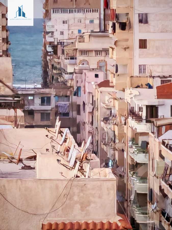 https://aqarmap.com.eg/en/listing/6568366-for-sale-alexandria-l-jmy-shataa-el-nakheel-street-10