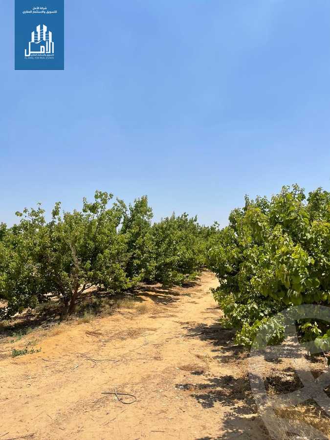 https://aqarmap.com.eg/en/listing/6038128-for-sale-monufia-sadat-city-el-khatatbah