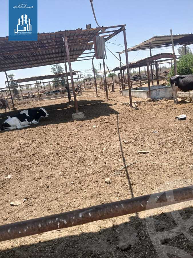 https://aqarmap.com.eg/en/listing/6162793-for-sale-monufia-sadat-city-el-khatatbah