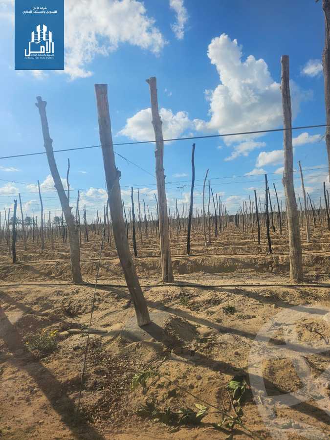 https://aqarmap.com.eg/ar/listing/6166164-for-sale-beheira-new-nubariya-el-yasha-village